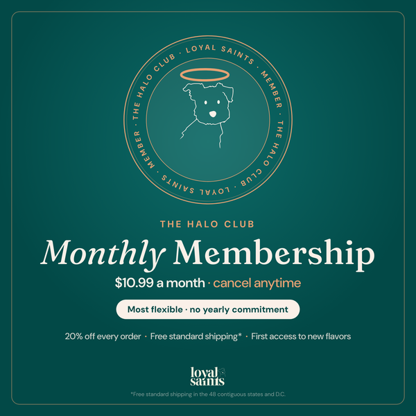 Halo Club Monthly Membership member seal: King, the Loyal Saints dog, under a halo — 20% off every order, free standard shipping, first access to new flavors