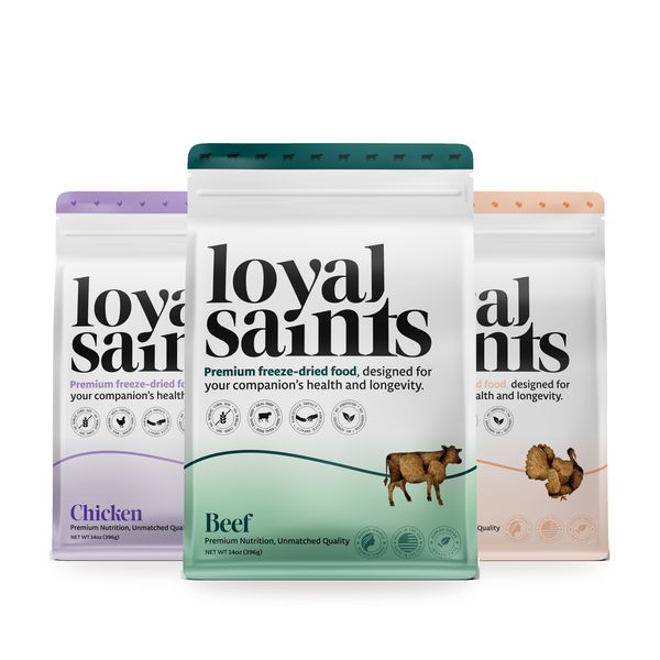 Loyal Saints Variety Pack (5 oz): Beef, Chicken and Turkey + Salmon freeze-dried raw dog food bags