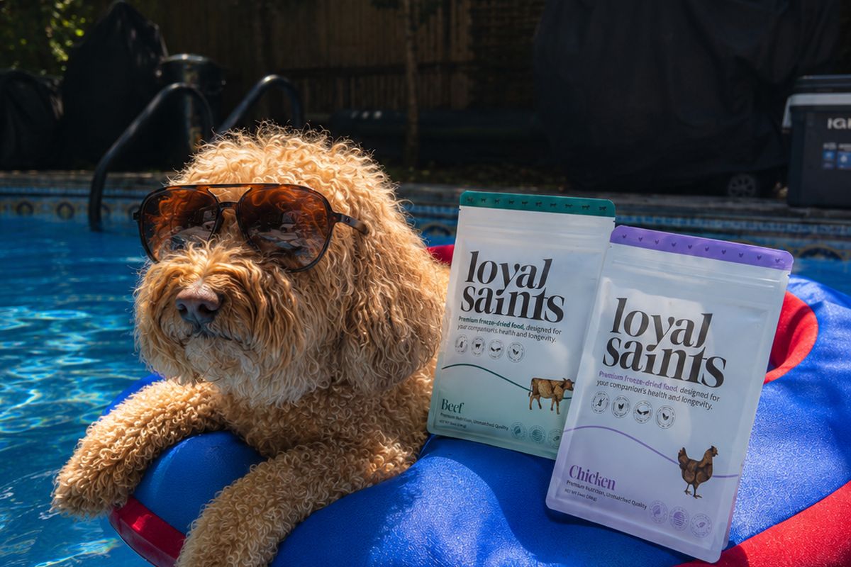 Homemade Dog Food vs. Freeze-Dried Raw: The Honest Comparison