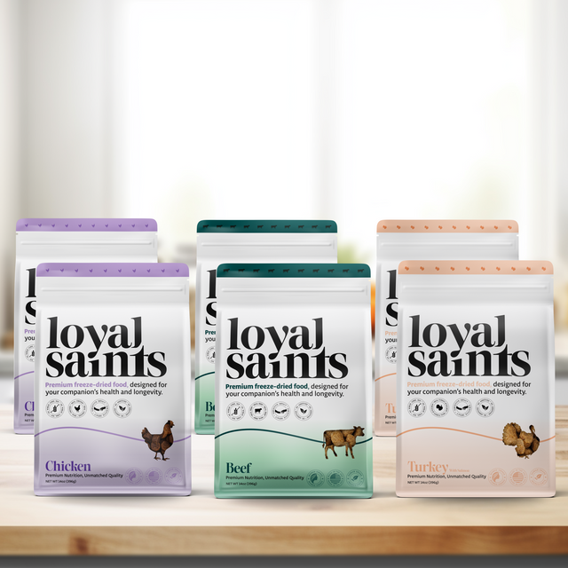 Premium Freeze-Dried Dog Food in Stamford CT — Human-Grade, Delivered