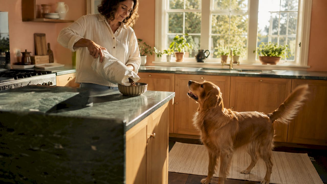 Healthy Eating for Dogs Your 2026 Nutrition Guide The Loved by Loyal