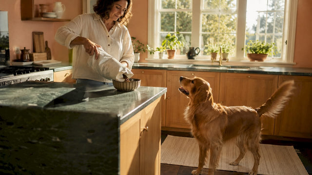 Woman preparing healthy dog food in kitchen