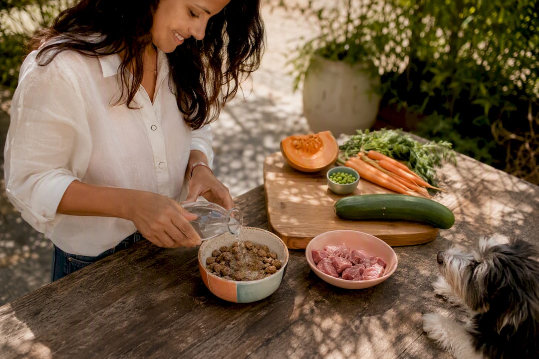 Dog owner preparing raw dog food bowl