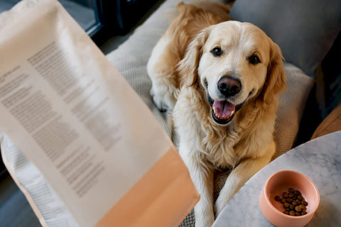 Happy dog beside ingredient label detail