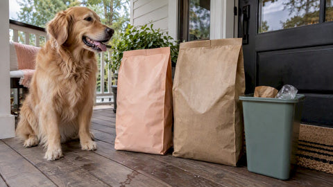 Happy dog beside pet food bag materials