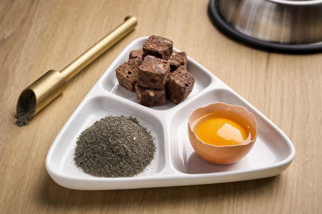Upcycled Protein Sources for Premium Dog Diets