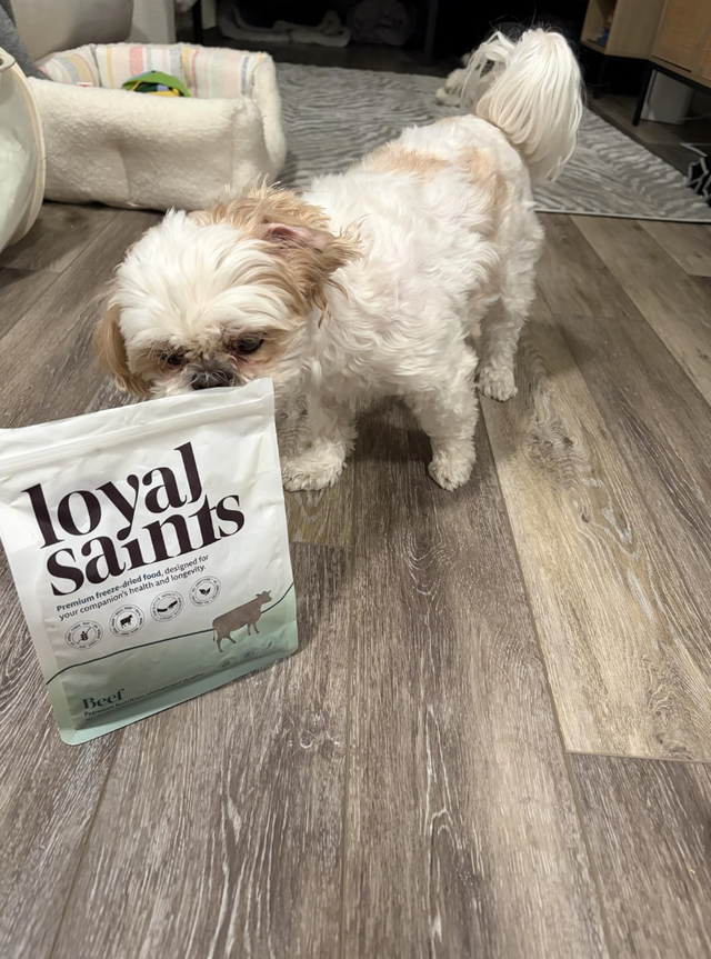 Best Dog Food for Senior Dogs in Oakland