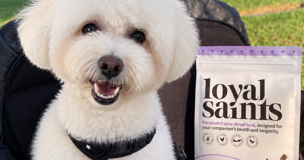A bichon beside a Loyal Saints Chicken bag