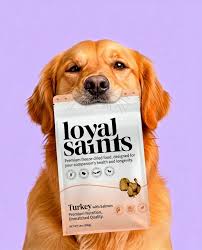 Freeze-Dried Raw Dog Food in Minneapolis — Human-Grade, Midwest-Made