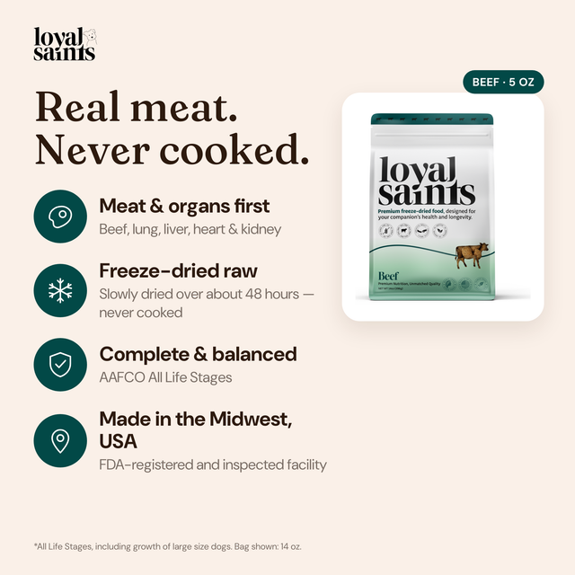 Loyal Saints Beef freeze-dried raw dog food: real meat, never cooked — meat and organs first, freeze-dried over about 48 hours, complete and balanced for All Life Stages, made in the Midwest