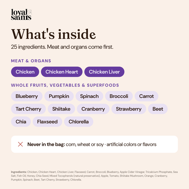 What's inside Loyal Saints Chicken: 25 ingredients — chicken, heart and liver first, plus whole fruits, vegetables and superfoods; no corn, wheat or soy