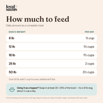How much Loyal Saints Beef to feed per day by dog weight, from the feeding chart on the bag, plus the topper amount for a 12 lb dog