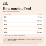 How much Loyal Saints Turkey + Salmon to feed per day by dog weight, from the feeding chart on the bag, plus the topper amount for a 12 lb dog
