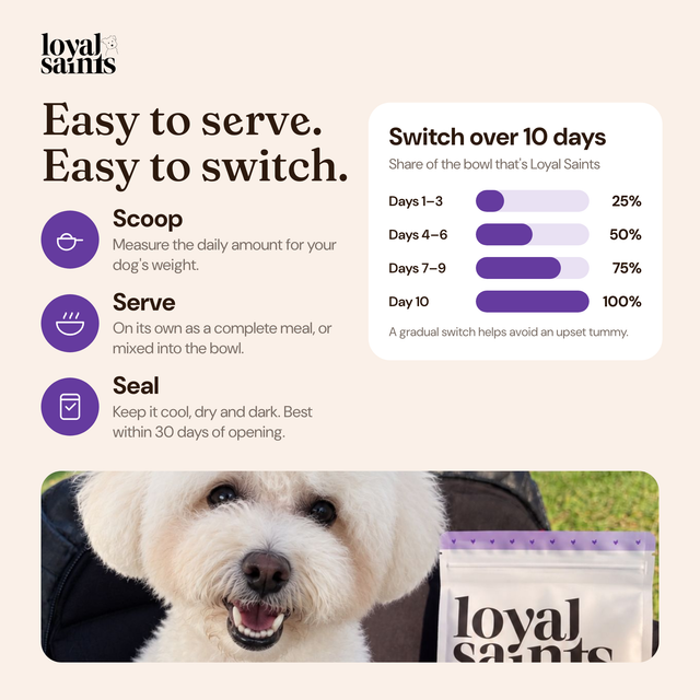 How to serve Loyal Saints and switch over 10 days: scoop, serve, seal