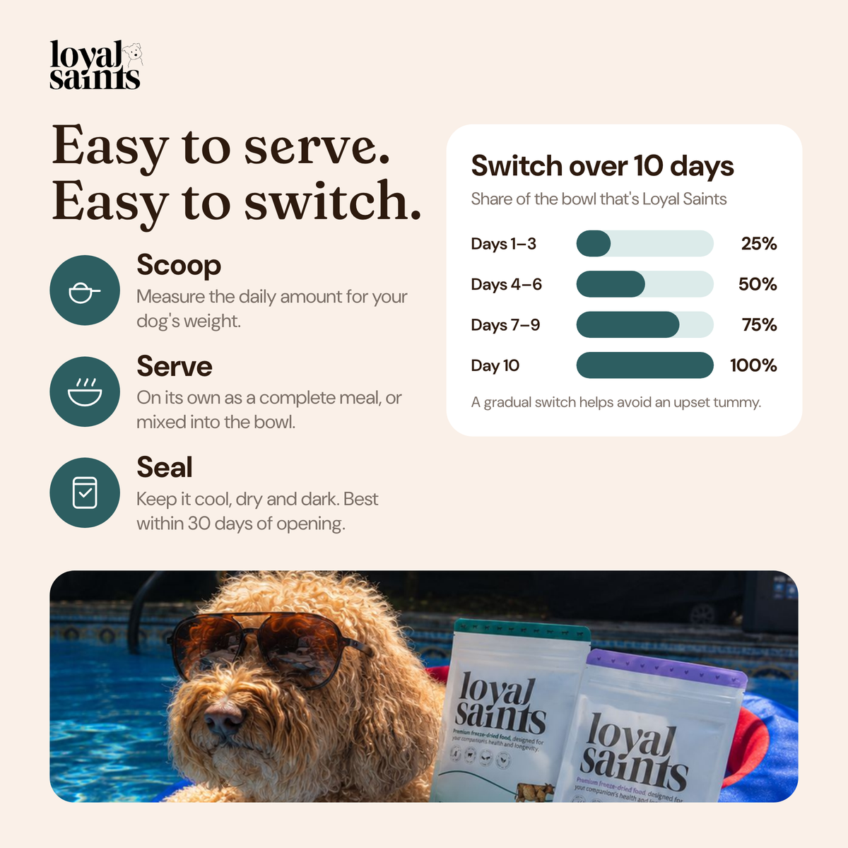 How to serve Loyal Saints and switch over 10 days: scoop, serve, seal