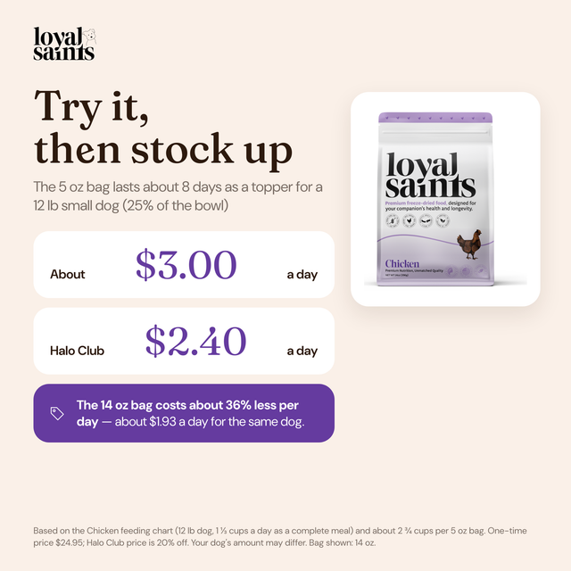 How long a 5 oz bag of Loyal Saints Chicken lasts as a topper for a 12 lb small dog and what it costs per day