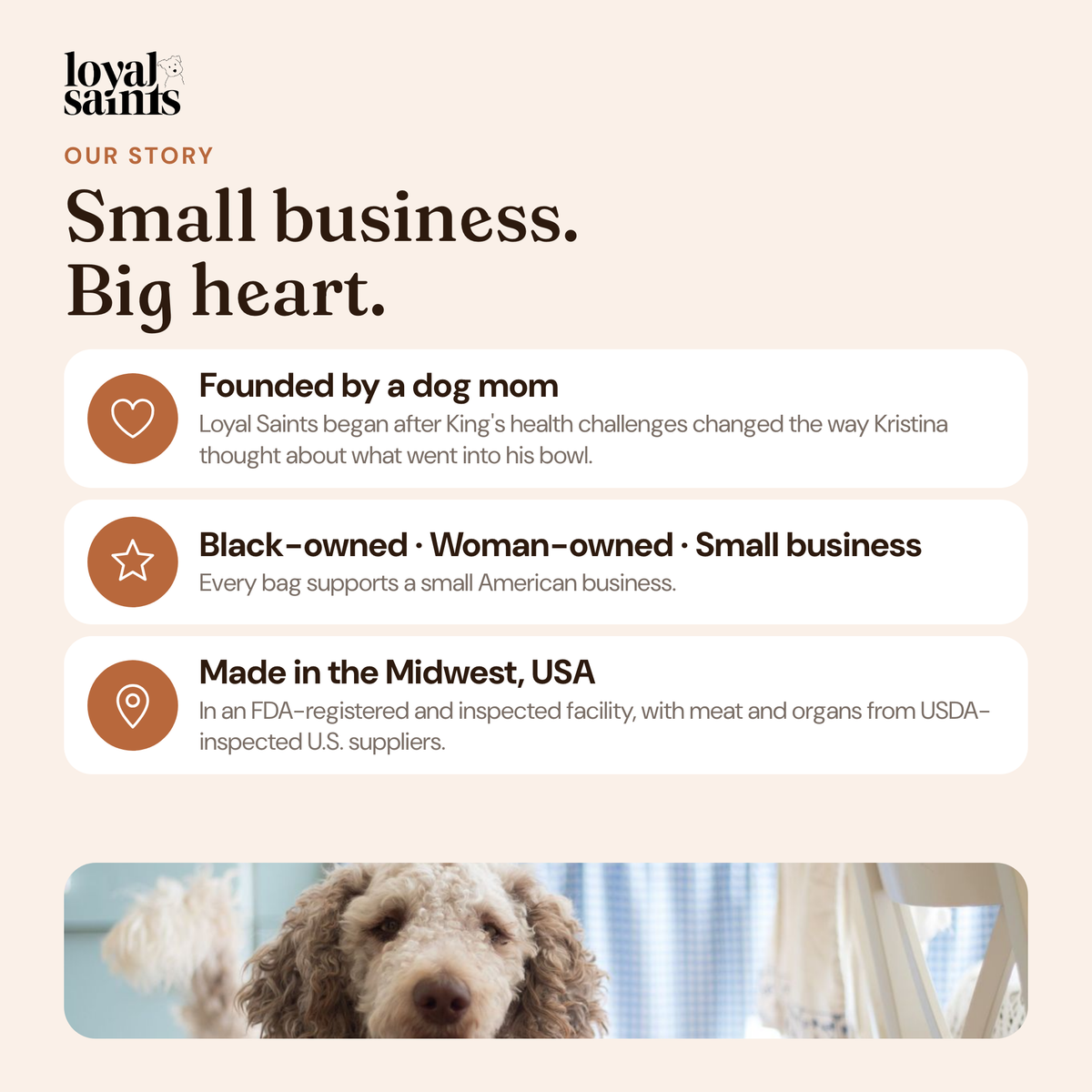 Loyal Saints is a Black-owned, woman-owned small business founded by a dog mom and made in the Midwest, USA