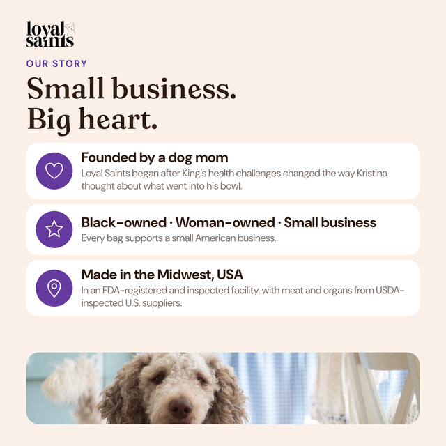 Loyal Saints is a Black-owned, woman-owned small business founded by a dog mom and made in the Midwest, USA