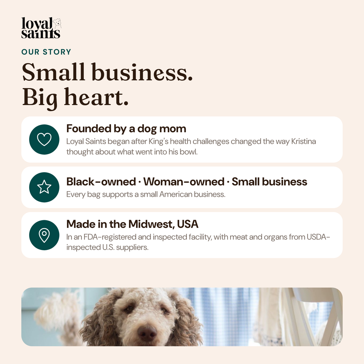 Loyal Saints is a Black-owned, woman-owned small business founded by a dog mom and made in the Midwest, USA