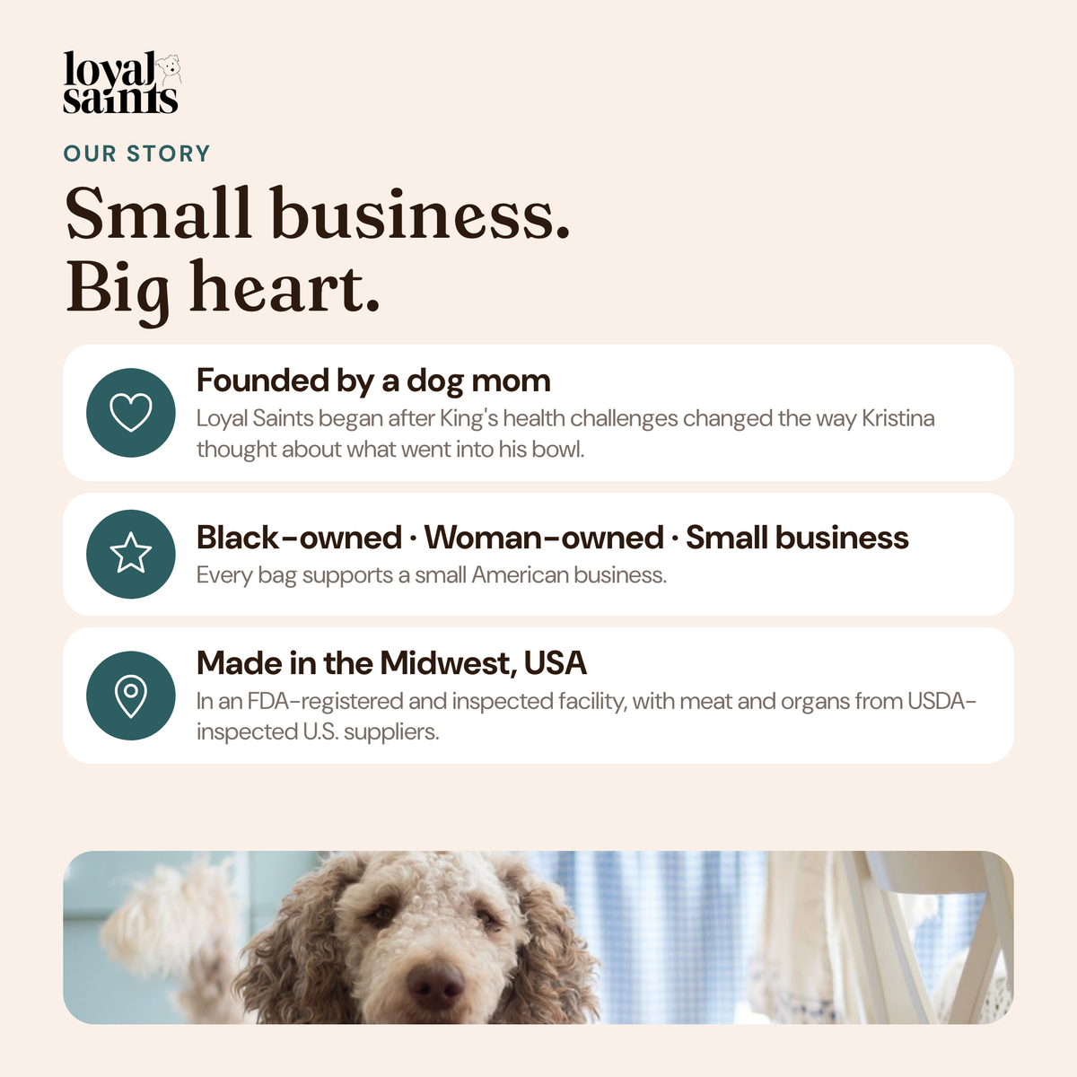 Loyal Saints is a Black-owned, woman-owned small business founded by a dog mom and made in the Midwest, USA