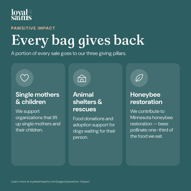 Every bag of Loyal Saints gives back: single mothers and children, animal shelters and rescues, honeybee restoration