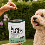 A hand offering a doodle a Loyal Saints Beef freeze-dried nugget beside the Beef bag in a garden