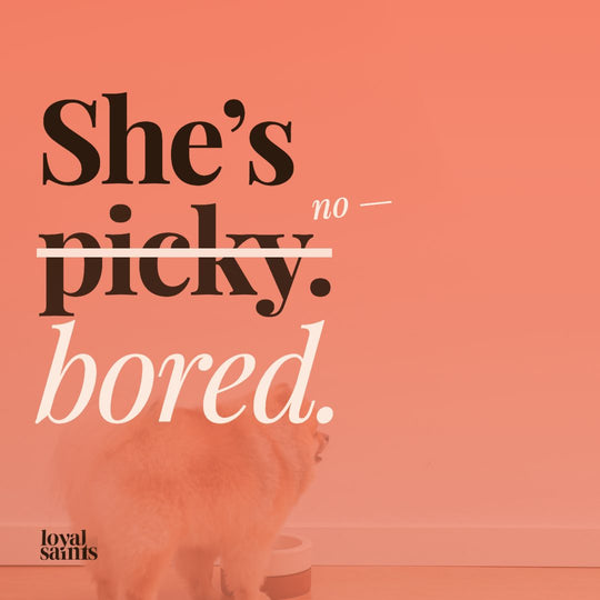 She’s not picky — she’s bored.