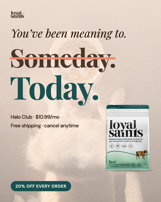 You’ve been meaning to. Today. Halo Club, $10.99 a month.