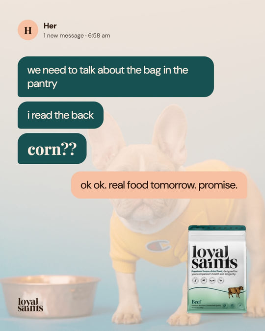A text thread: ok, real food tomorrow, promise.