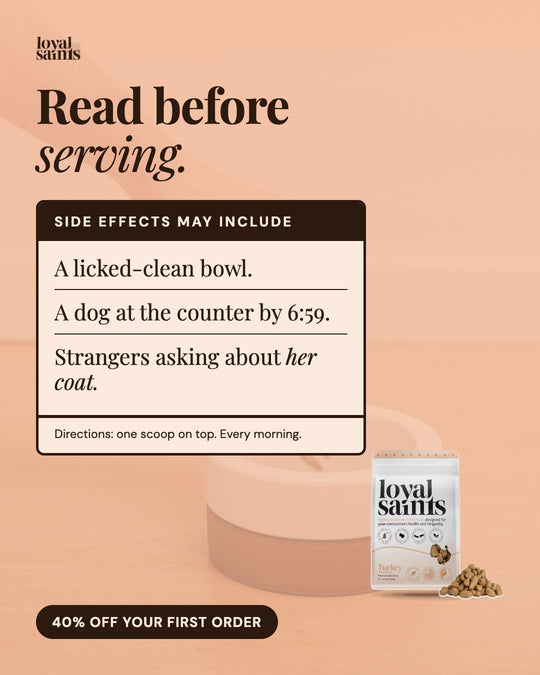 Read before serving: side effects may include a licked-clean bowl.