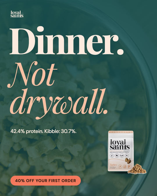 Dinner, not drywall: 42.4% protein against 30.7% for kibble, by dry matter.