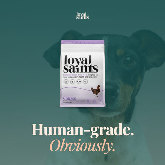 Human-grade. Obviously.