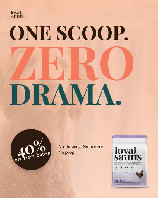 One scoop. Zero drama. 40% off your first order.