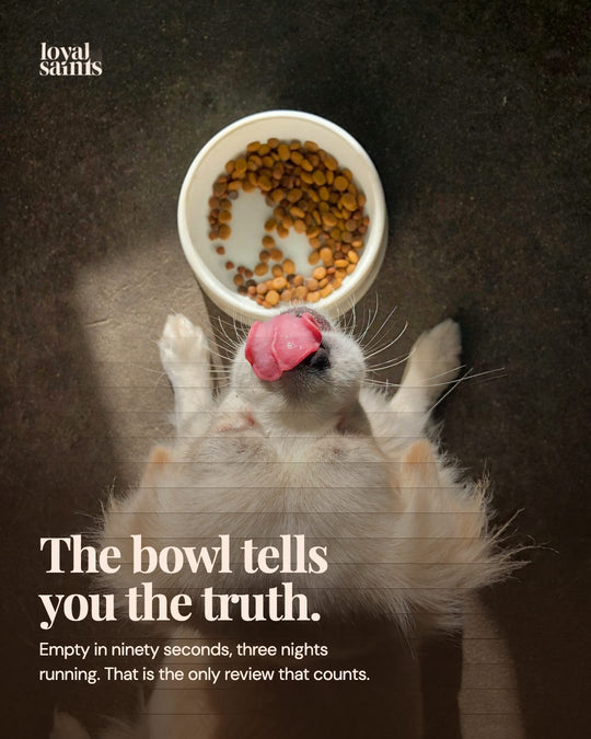 The bowl tells you the truth.