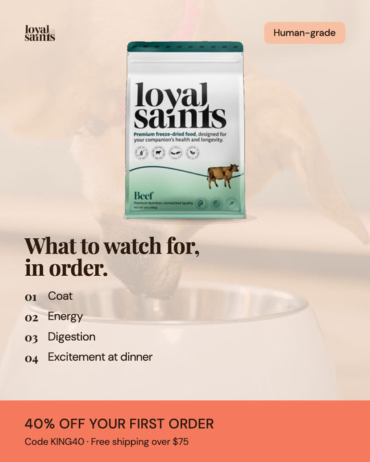 What to watch for, in order: coat, energy, digestion, excitement at dinner.