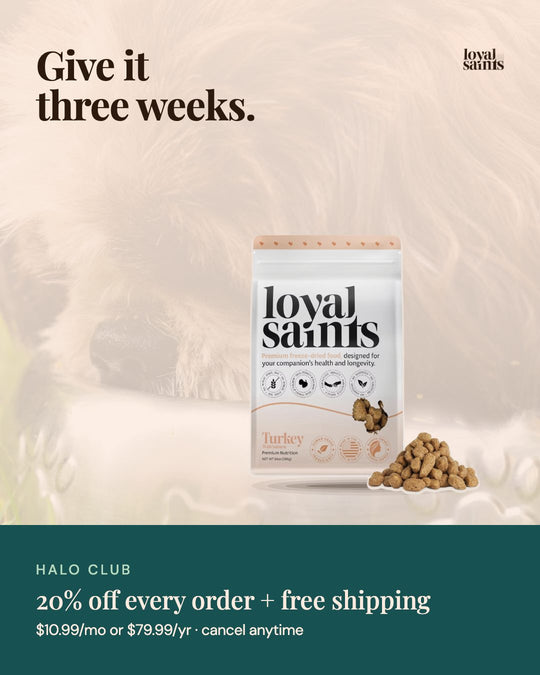 Give it three weeks. Halo Club, 20% off every order.