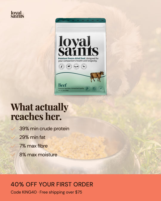 What actually reaches her: 39% protein, 29% fat, 7% fiber, 8% moisture.