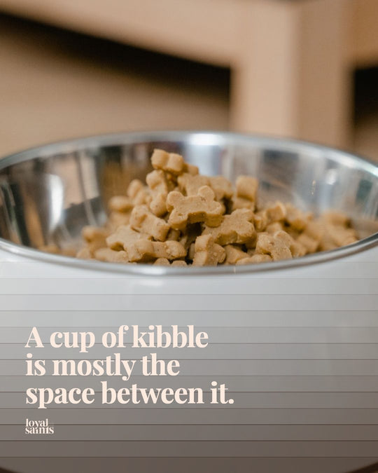 A cup of kibble is mostly the space between it.