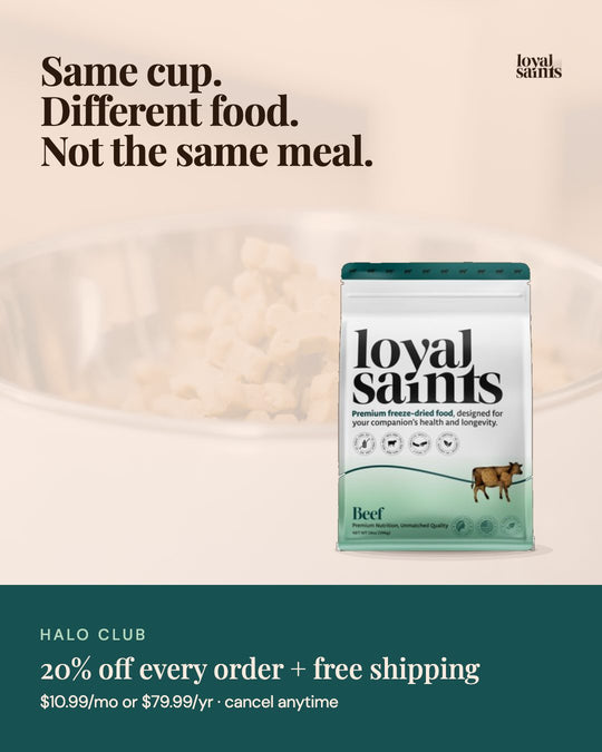 Same cup. Different food. Not the same meal.