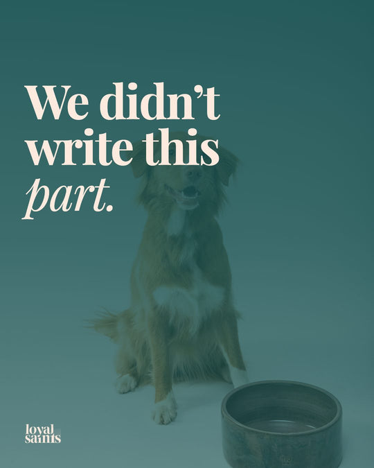 We didn’t write this part.