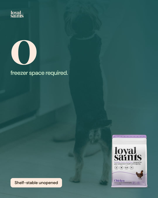 Zero freezer space required.