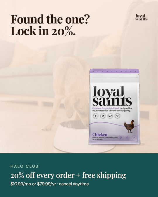 Found the one? Lock in 20% with the Halo Club.