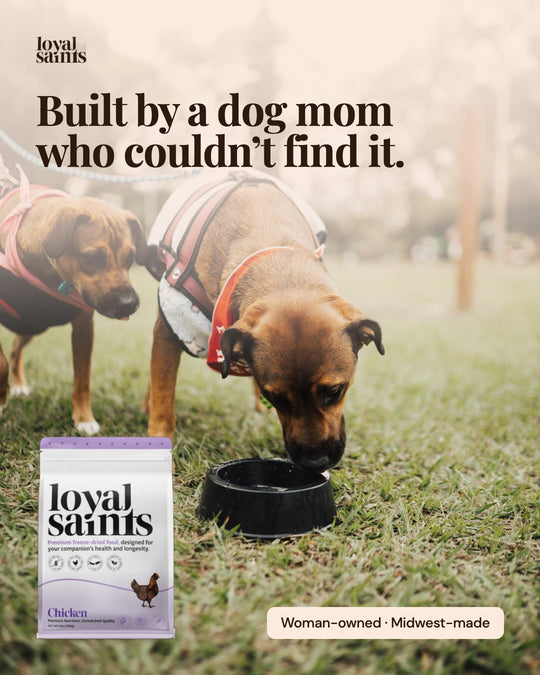 Built by a dog mom who couldn’t find it.