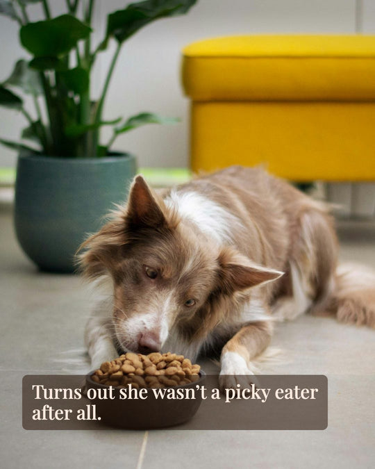 Turns out she wasn’t a picky eater after all.
