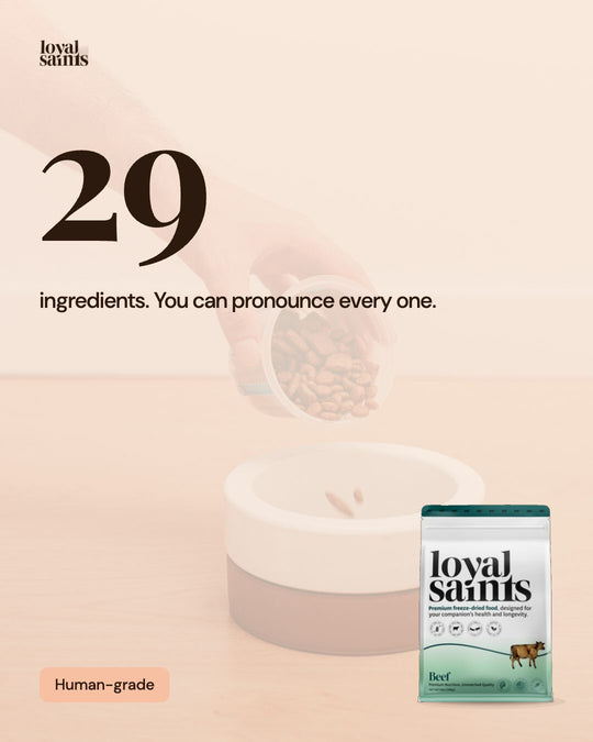 29 ingredients in the Beef recipe. You can pronounce every one.