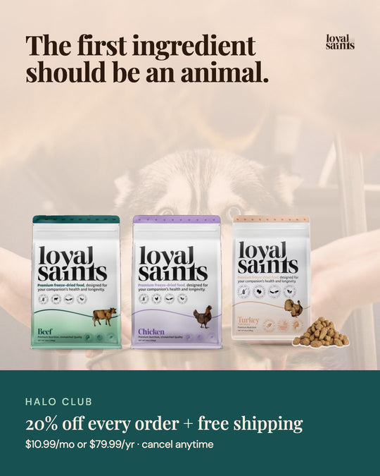 The first ingredient should be an animal.