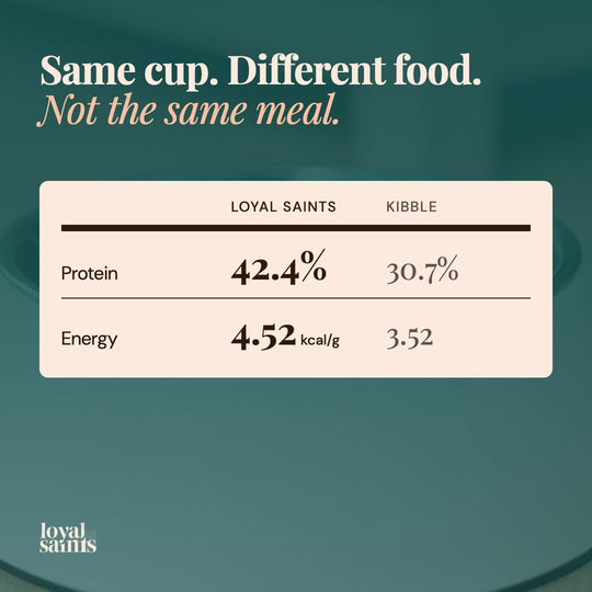 Same cup, different food: 42.4% against 30.7% protein.