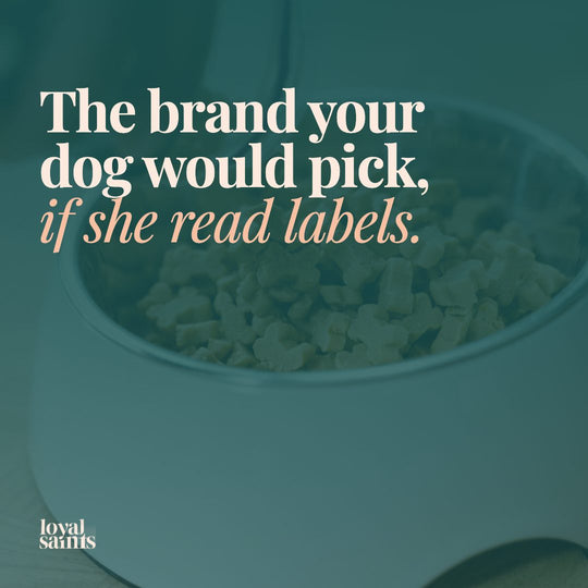 The brand your dog would pick, if she read labels.