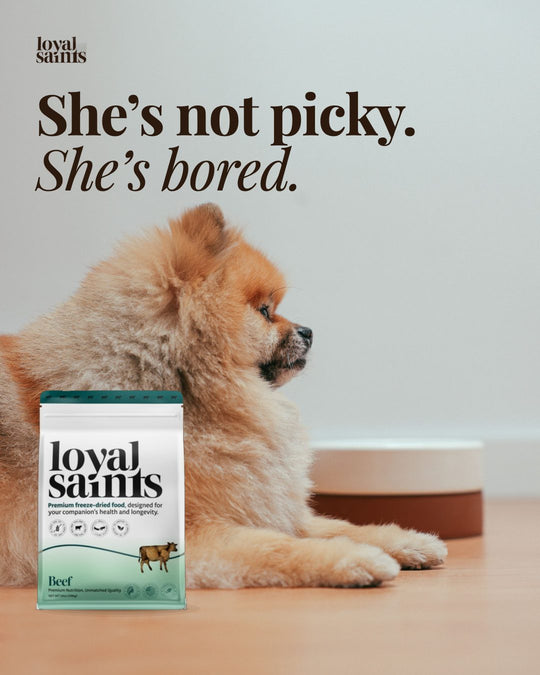 She’s not picky. She’s bored.