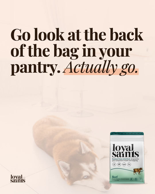 Go look at the back of the bag in your pantry.